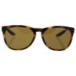 Arnette Arnette AN 4227 2087 83 Got Time - Havana Brown Polarized by Arnette for Unisex - 57-18-140 mm Sunglasses Discount