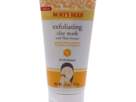 Burts Bees Exfoliating Clay Mask by Burts Bees for Unisex - 2.5 oz Mask Hot on Sale