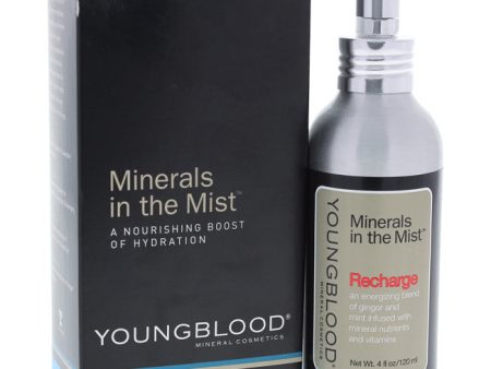 Youngblood Minerals in The Mist - Recharge by Youngblood for Women - 4 oz Face Mist Hot on Sale