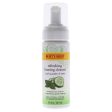 Burts Bees Refreshing Foaming Cleanser - Cucumber-Mint by Burts Bees for Unisex - 4.8 oz Cleanser For Sale